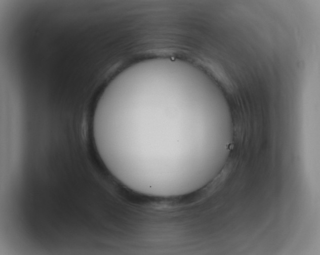 X0000102300120200807251029