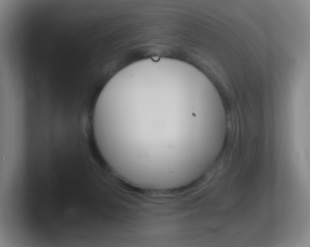 X0000102300127200807251029