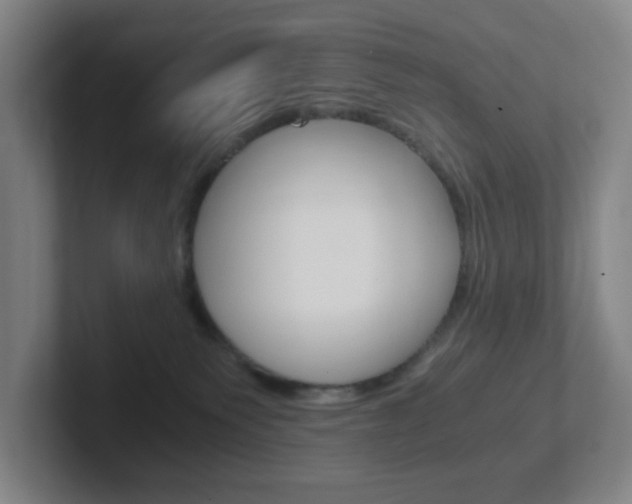 X0000102300135200807251028