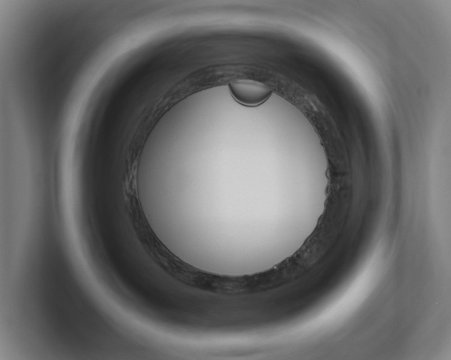 X0000102300143200807251028