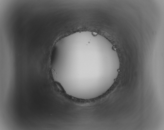 X0000102300144200807251028