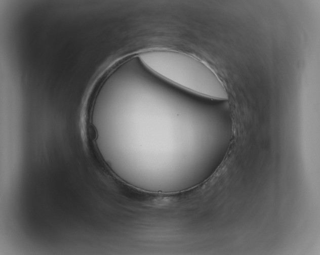 X0000102300152200807251028