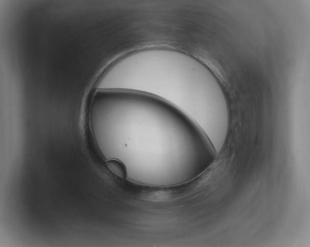 X0000102300156200807251028