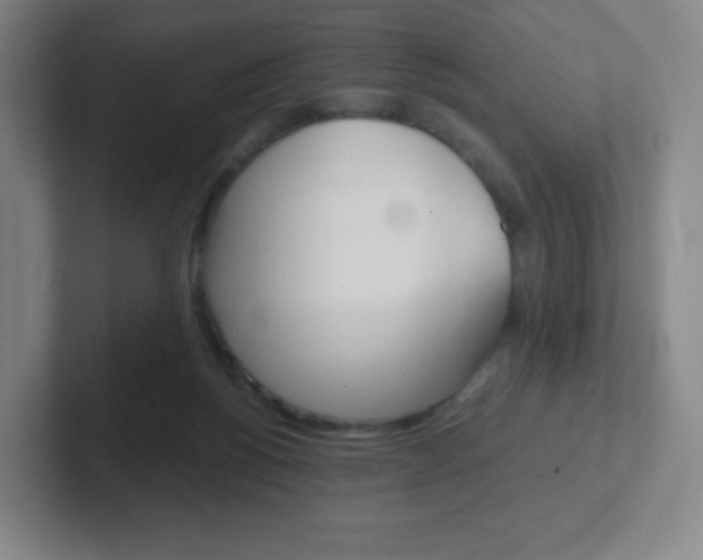 X0000102300168200807251028