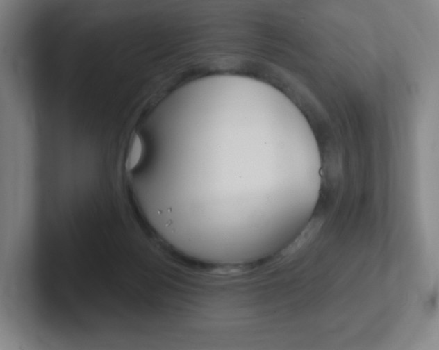 X0000102300172200807251028