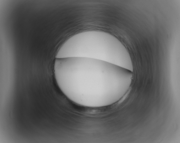 X0000102300174200807251028