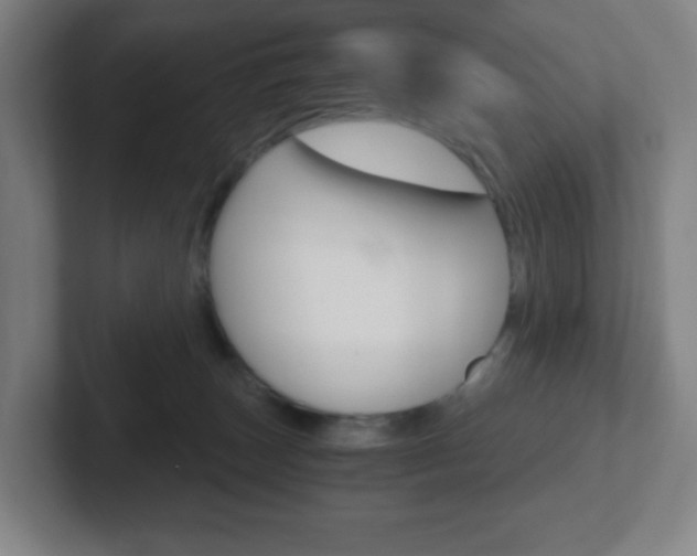 X0000102300179200807251028