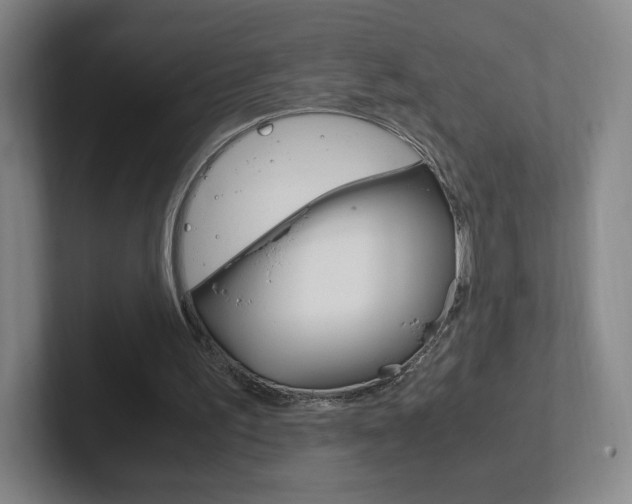 X0000102300195200807251028