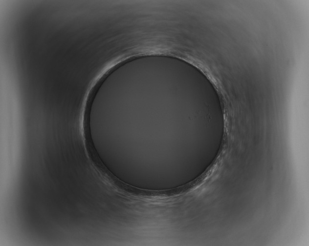 X0000102300196200807251028