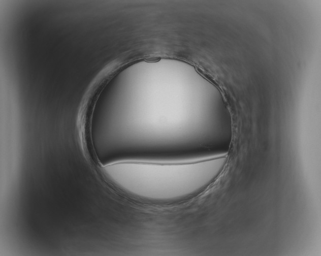 X0000102300197200807251028