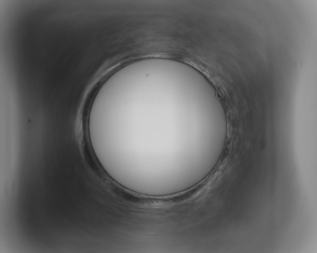 X0000102300198200807251028