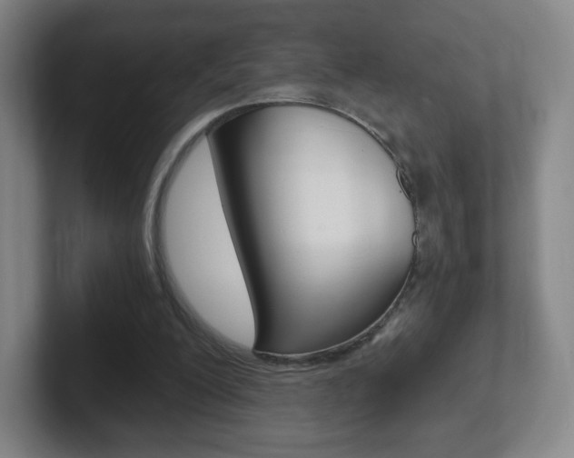 X0000102300200200807251028