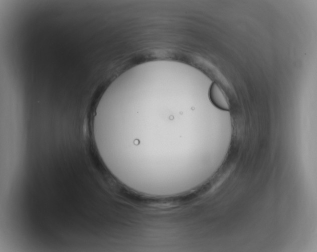 X0000102300213200807251027