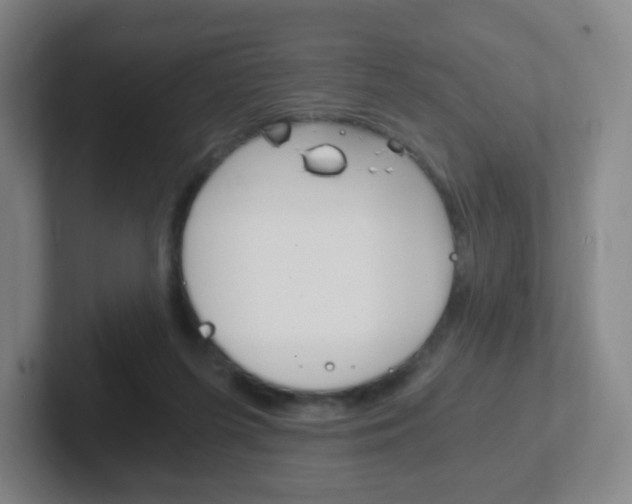 X0000102300215200807251027