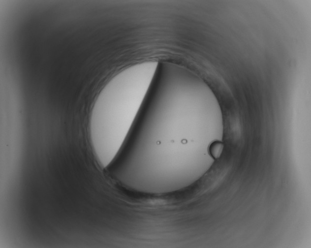 X0000102300224200807251027
