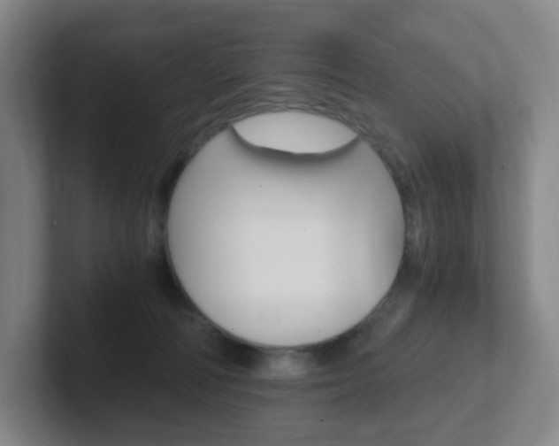 X0000102300226200807251027