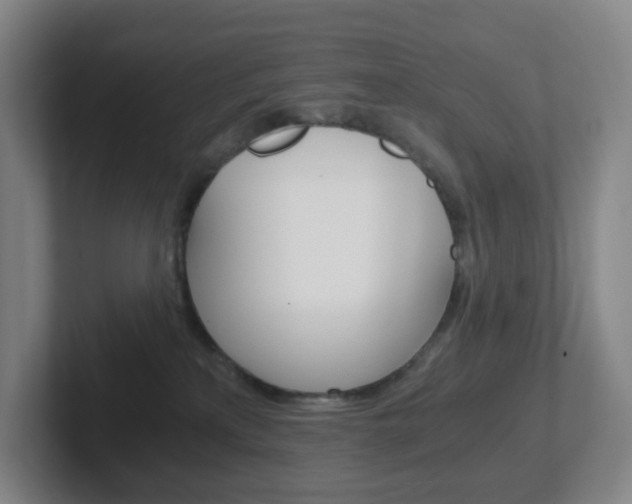 X0000102300233200807251027