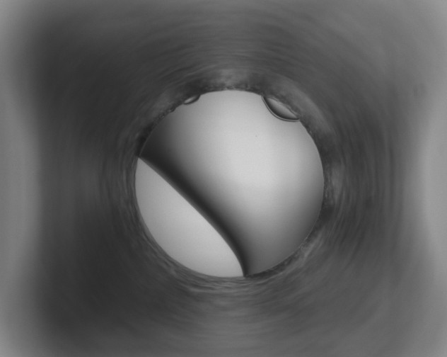 X0000102300236200807251027