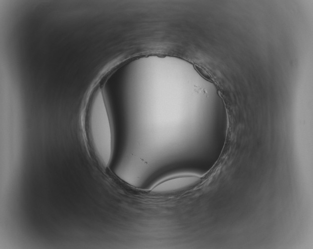 X0000102300244200807251027