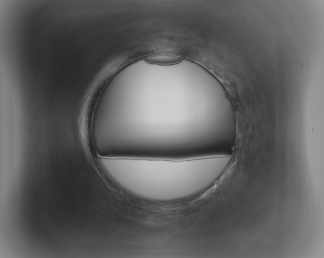 X0000102300245200807251027