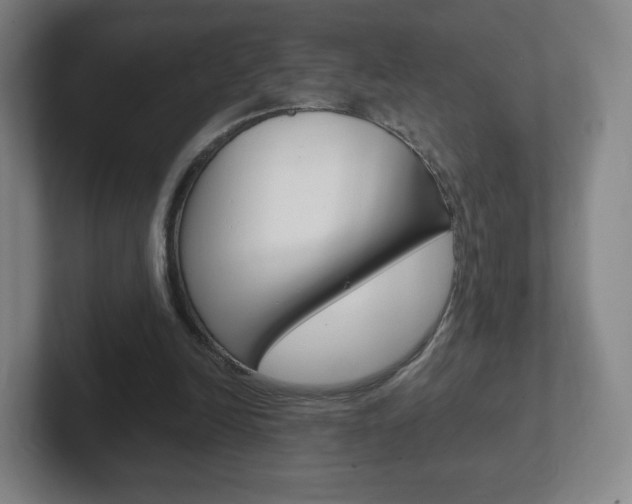 X0000102300246200807251027