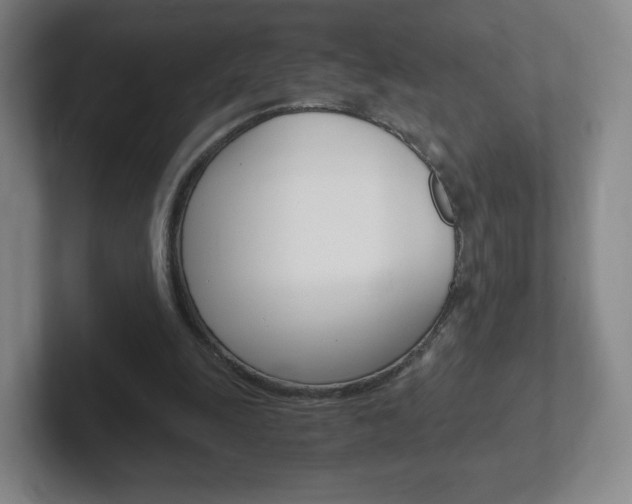 X0000102300247200807251027