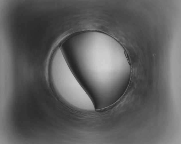 X0000102300248200807251027