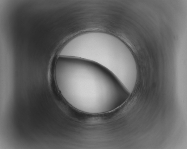 X0000102300252200807251027