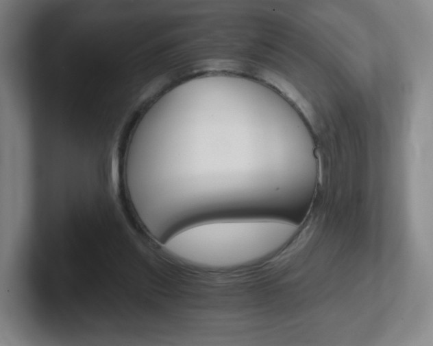 X0000102300253200807251027