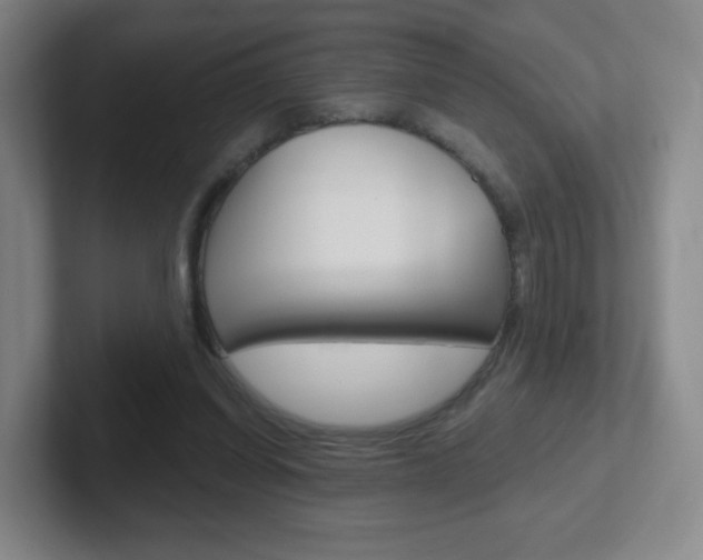 X0000102300254200807251027