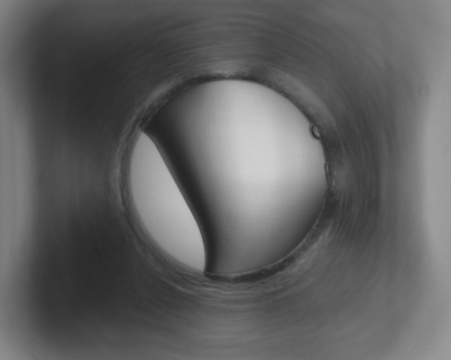 X0000102300256200807251027