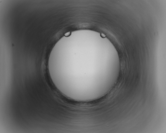 X0000102300264200807251027