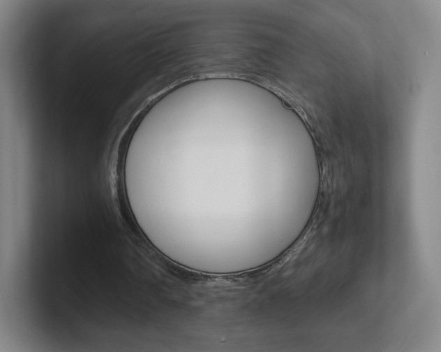 X0000102300290200807251026