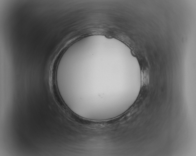 X0000102300291200807251026