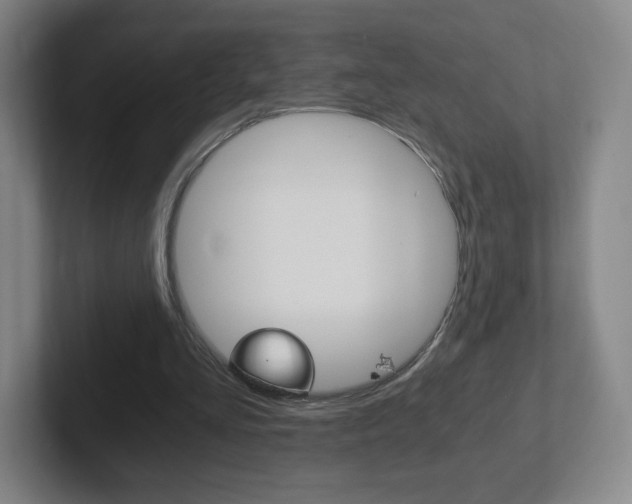 X0000102300293200807251026