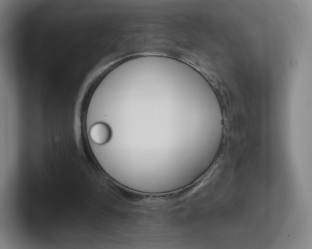 X0000102300294200807251026