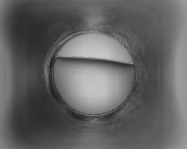 X0000102300295200807251026