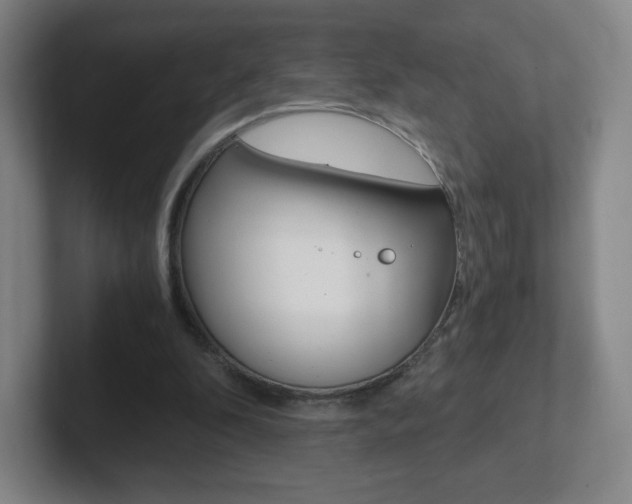 X0000102300296200807251026