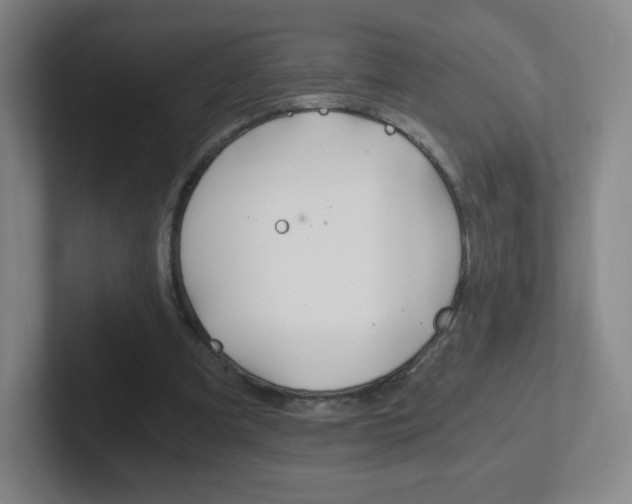 X0000102300297200807251026
