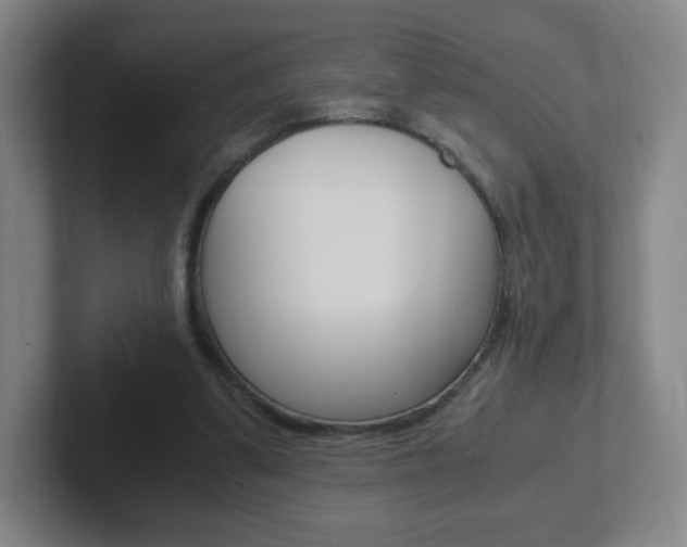 X0000102300299200807251026