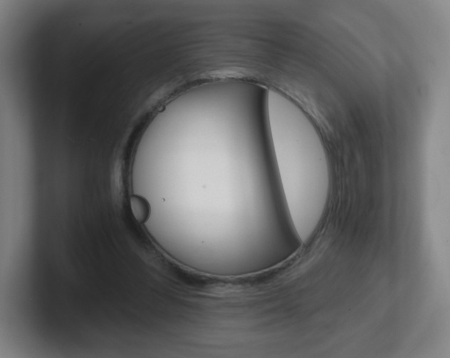 X0000102300300200807251026