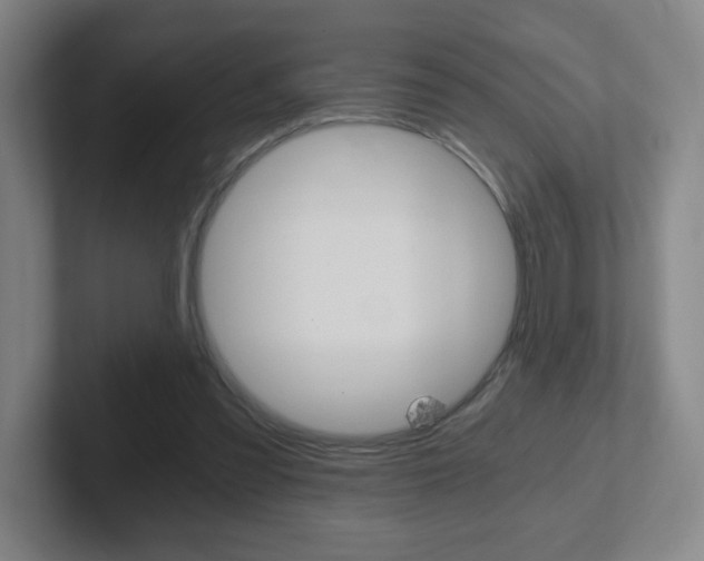 X0000102300301200807251026