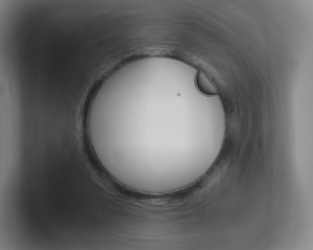 X0000102300303200807251026