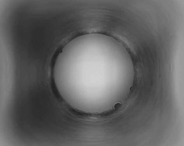 X0000102300308200807251026