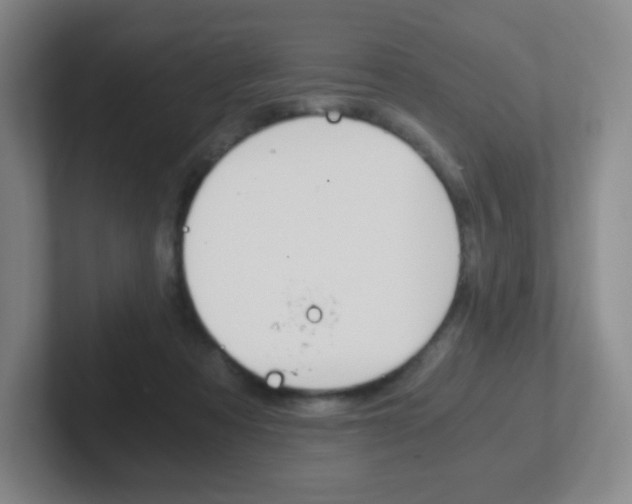 X0000102300313200807251026