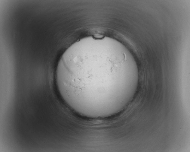 X0000102300315200807251026