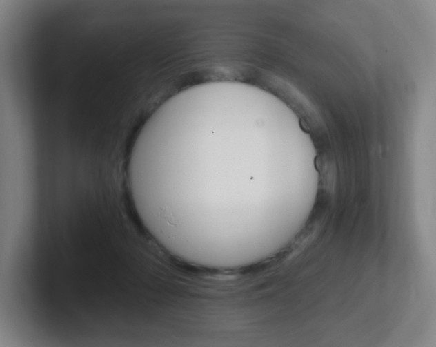 X0000102300318200807251026