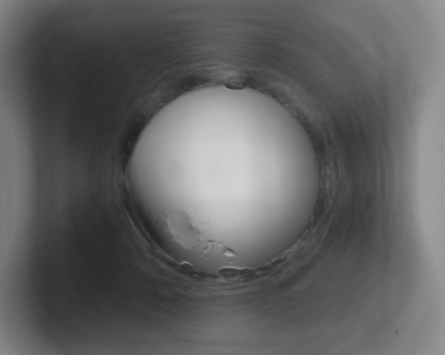 X0000102300320200807251026