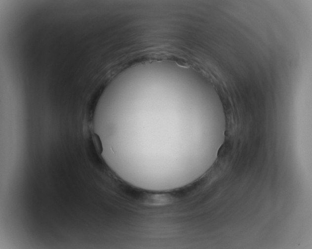 X0000102300324200807251026