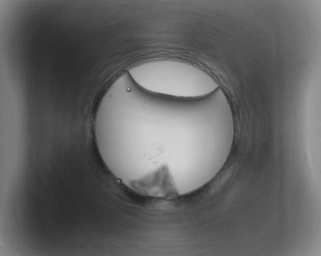 X0000102300325200807251026